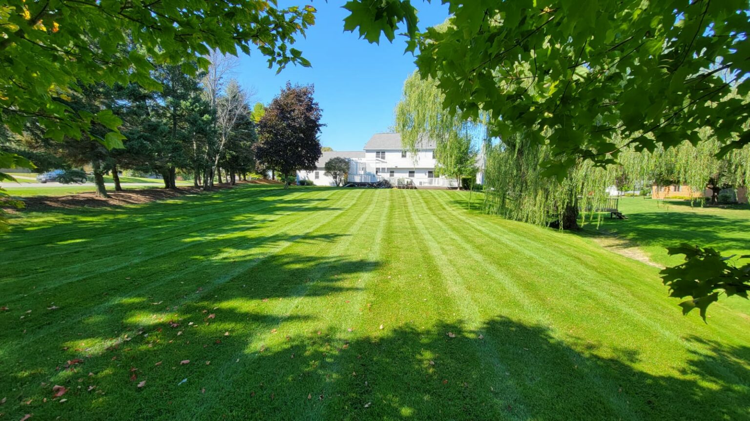 Professional Turf Maintenance from Landmark Landscapes Landmark