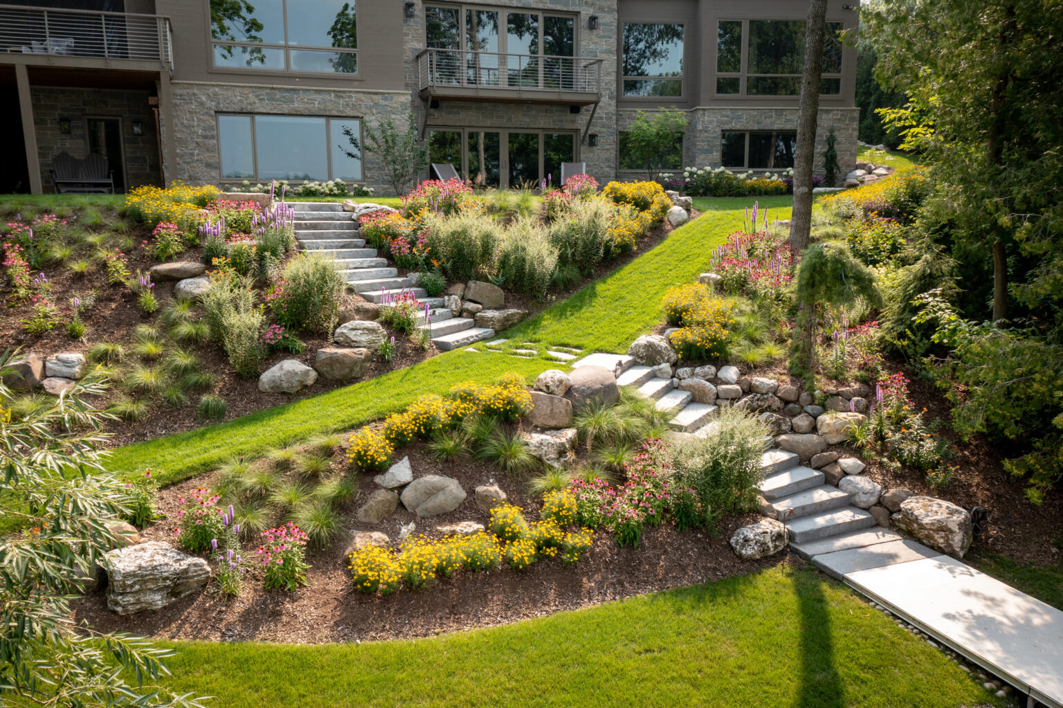 Coreopsis Zagreb Beautiful and Durable Landmark Landscapes, Inc