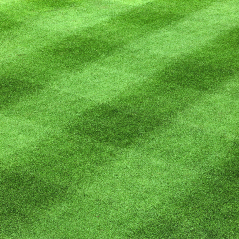 Simple Steps to Cancel a TruGreen Contract Landmark Landscapes, Inc